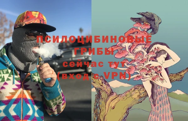 прущие крисы Алзамай