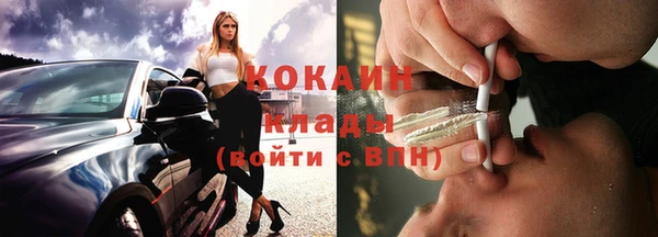 кокс Алексин
