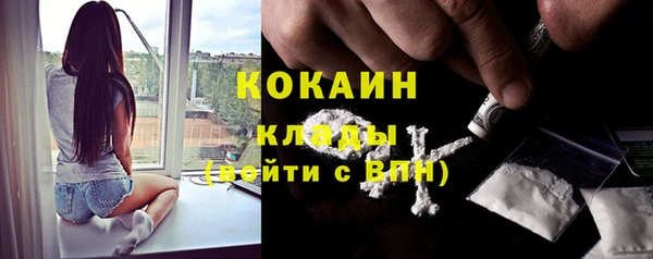 кокс Алексин